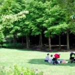 「もしかして障害があるかも？」相談はどこにすればいいの？