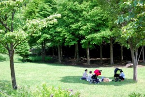 「もしかして障害があるかも?」相談はどこにすればいいの?